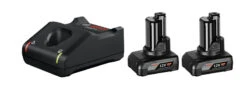 Bosch Professional Starterset 12 V Premium Starterset | 2x 12Volt 6,0Ah Li-Ion Professional + Snellader [1.600.A01.B20]